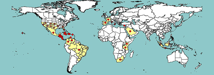Mapa de distribución del picudo negro